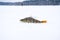 Caught by fisherman fish perch lies in snow on surface of lake was covered with ice on background of forest. Scene with winter ic