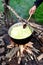 Cauldron with cabbage on outdoor camping