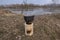 Cauldron cooking on Finnish Swedish log candle at river coast