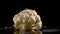 Cauliflower on a black background with water drops and splashes