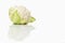 Cauliflower (Brassica oleracea var. botrytis L.)
