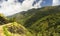 Cauliflower / Broccoli forest view point in Avalanche near Upper Bhavani in Nilgiris