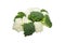 Cauliflower and broccoli isolated on white backgro