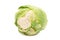 Cauliflower cabbage