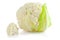 Cauliflower cabbage