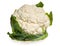 Cauliflower cabbage