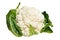 Cauliflower cabbage