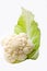 Cauliflower cabbage vegetable green leaf isolated