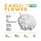 Cauliflower health benefits. Vector illustration