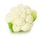 cauliflower isolated pictures