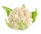 Cauliflower isolated on white background