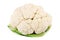 Cauliflower vegetable