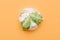 Cauliflower in wrap polyethylene plastic on colored background. Minimal enviromental concept. Flat flat, top view