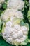 Cauliflowers For Sale at a Farmer`s Market