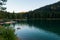 Caumasee mountain lake in the Swiss Alps small pier with rental pedal boats sunny summer time clear turquoise water pine tree