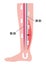 Cause of swelling, edema of the legs. / Japanese