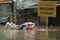 CAUSES OF INDONESIA SEASONAL FLOODING