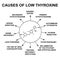 Causes of low thyroxine. Thyroid hormone thyroxine chemical molecular formula. Infographics. Vector illustration on