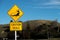 A caution seal signpost is typical along coastal roads in New Zealand