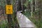 Caution Slippery Boardwalk, Rainforest Trail, Pacific Rim National Park, Vancouver Island, British Columbia, Canada