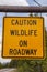 Caution Wildlife on Roadway Sign