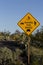 Cautionary Share the Road sign in Saguaro National Park