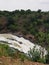 Cauvery River flowing, plants, trees, water flowing, monkey skyline