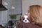 Cavalier King Charles Spaniel Blenheim. Close up portrait of Cute dog puppy with woman hostess