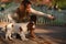 Cavalier King Charles Spaniel dog and a girl are together in the park enjoying beautiful autumn day