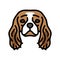 cavalier king charles spaniel dog puppy pet color icon vector illustration