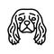 cavalier king charles spaniel dog puppy pet line icon vector illustration