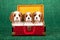 Cavalier King Charles Spaniel puppies sitting inside red tartan plaid suitcase luggage