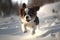 Cavalier King Charles Spaniel running in the snow. 3d illustration