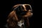 Cavalier King Charles Spaniel In Suit And Virtual Reality On Black Background