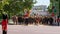 Cavalry horses taking part in the Trooping the Colour military parade at Horse Guards, Westminster, London UK