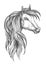 Cavalry morgan horse sketch symbol