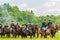 Cavalry victory parade