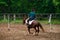 cavalryman on horseback