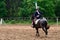 cavalryman on horseback