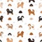 Cavapoo mix breed seamless pattern. Different poses, coat colors set