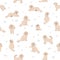 Cavapoo mix breed seamless pattern. Different poses, coat colors set