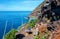 Cave accomodation on the west coast, Island La Palma, Canary Islands, Spain, Europe