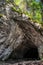 Cave callled Zidovska Jaskyna Kamenne mlieko on hill Poludnica in Low Tatras mountains in Slovakia