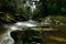 Cave Creek Paparoa National Park New Zealand