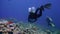 Cave diving underwater scuba divers exploring cave dive. Red Sea Egypt