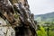 Cave entrance in the rock