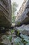 Cave at Eramosa Karst Conservation Area, Ontario 1