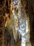 Cave formation stalactites details in Jenolan Caves, Australia