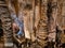 Cave in French Pyrenees full of stalagmites and stalactites beautiful scenery in geologic site