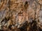 Cave in French Pyrenees full of stalagmites and stalactites beautiful scenery in geologic site